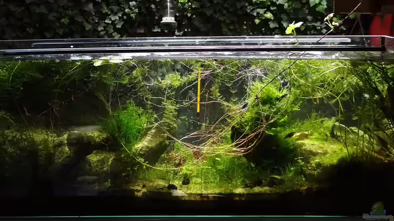 Mai 2016 von paris (16)