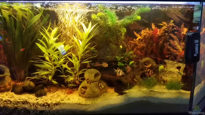 Mai 2016 von SvenDerGroße (3)