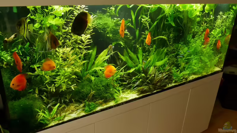 Mai 2022 von signo (20)