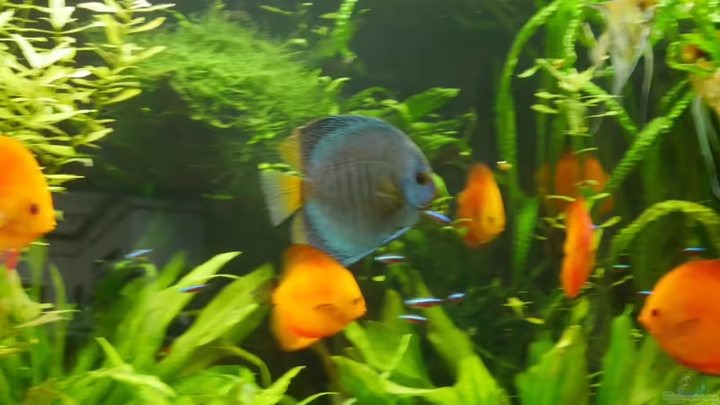 Mai 2022 von signo (30)