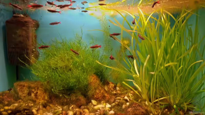 Mai 2024 von Roland Saager (5)