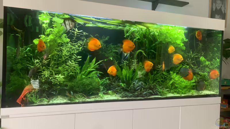 Mai °22 von signo (13)