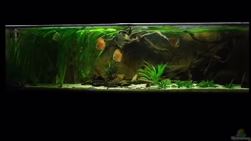 Mai2011 von PH Neutral (7)