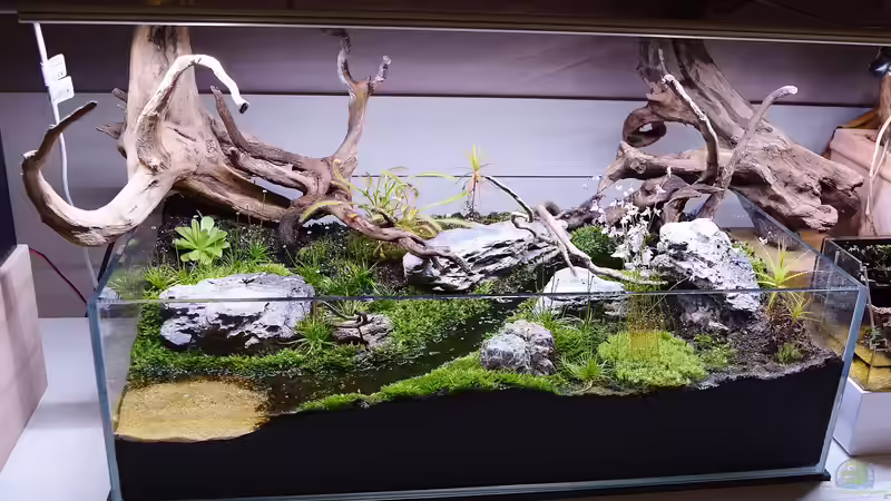 Main von Junglist (7)