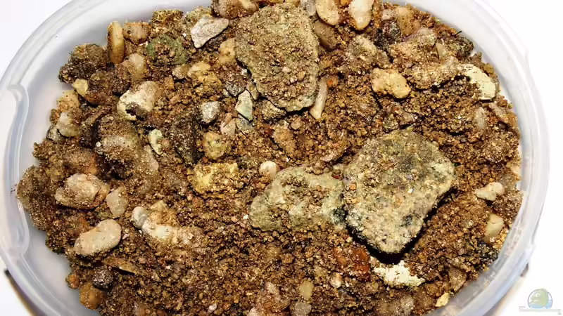 Maingano Island-Likoma - Original Bodengrund Probe von Florian Bandhauer (53)