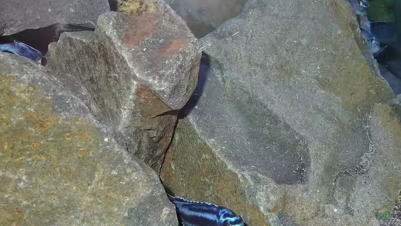 Maingano Verstecke von Malawi_Einsteiger (55)