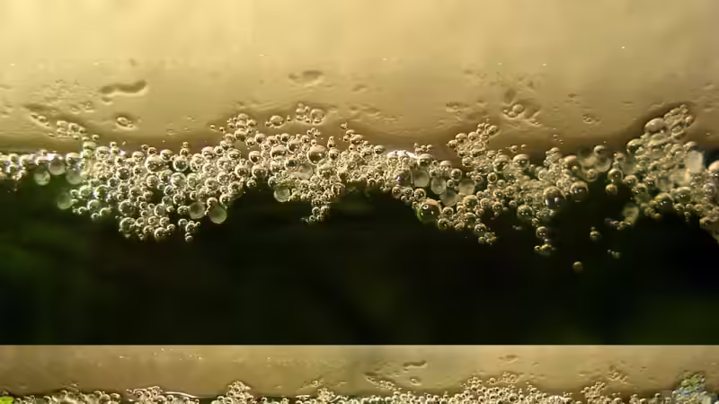 Makroaufnahmen des Schaumnestes. Man kann deutlich die Eier zwischen den Luftblasen von Pete (16)