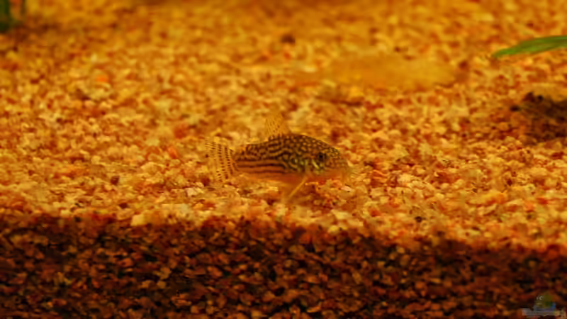 mal 30 ;) von matthiasm (46)