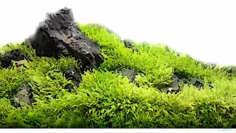 Mal anders von Marcel Reiter (3)