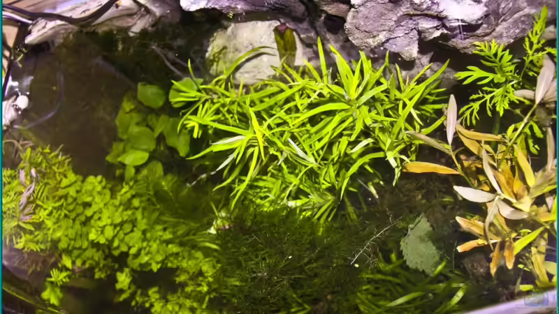 Mal aus der Vogelperspektive 02.10.10 von Ralf64 (18)