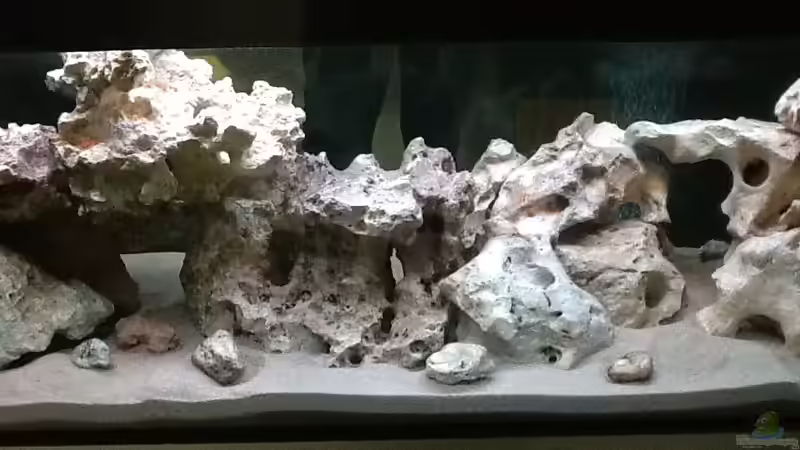 Mal die Steinaufbauten von DDT (5)