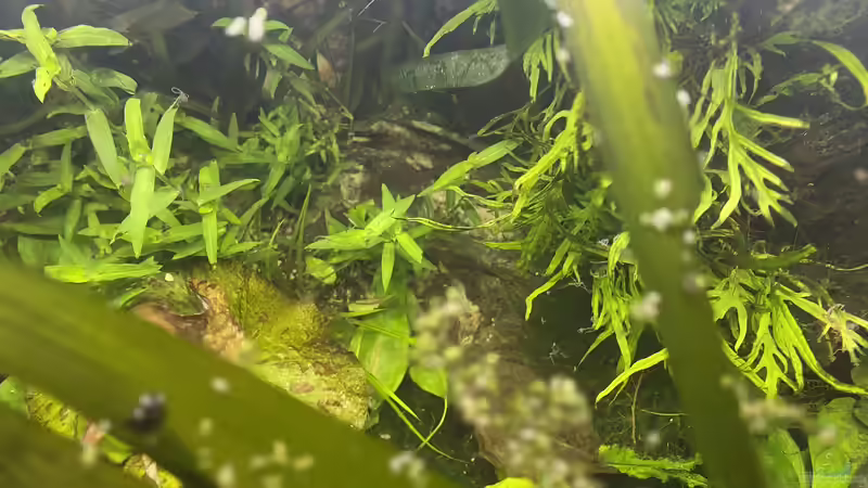 Mal ein Blick von oben .... von Lina L. (15)