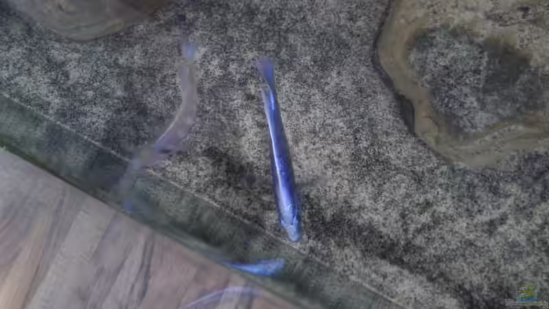 Mal ein Einblick von oben die 2. von Noah (37)