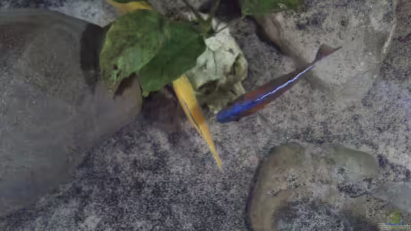 Mal ein Einblick von oben von Noah (36)