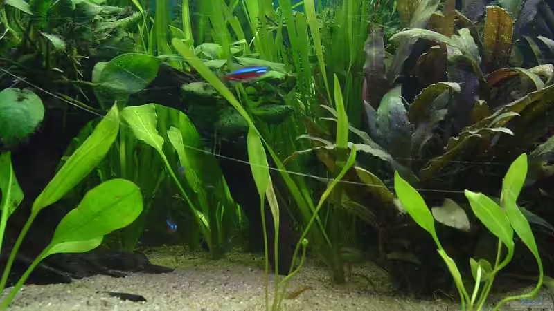 Mal ein kleiner einblick von Die Juli (24)