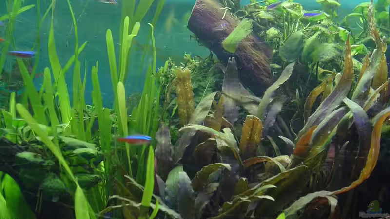 Mal ein kleiner einblick von Die Juli (25)