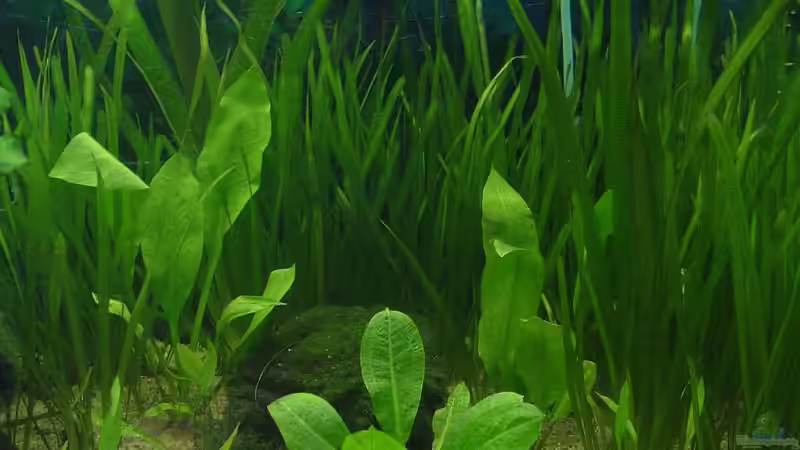 Mal ein kleiner einblick von Die Juli (26)