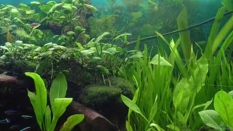 Mal ein kleiner einblick von Die Juli (29)