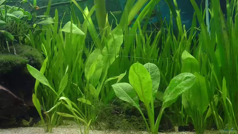 Mal ein kleiner einblick von Die Juli (30)