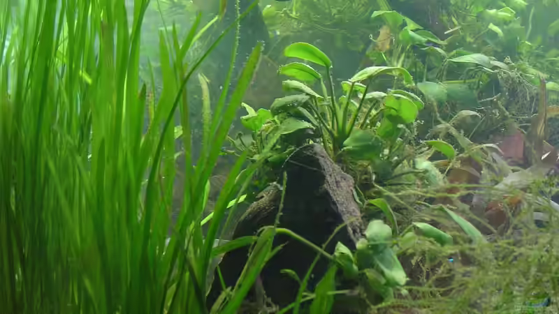 Mal ein kleiner einblick von Die Juli (8)