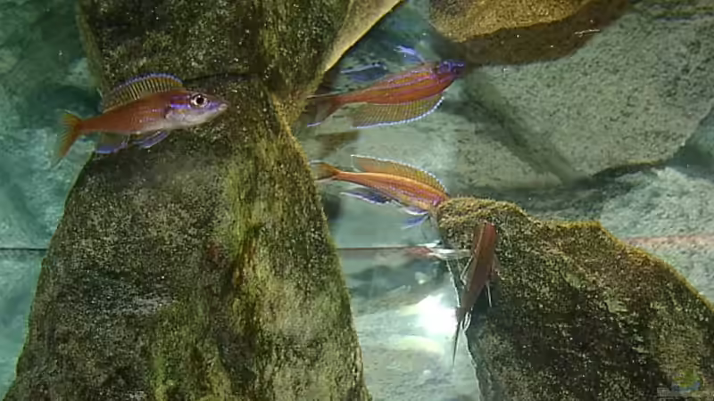 Mal eine andere Perspektive: von unten gegen den Wasserspiegel: deshalb sieht man von Georg Botz (19)