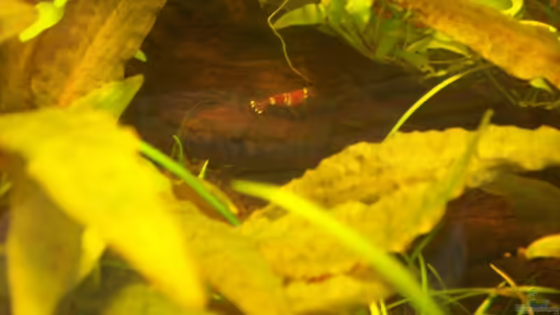 mal ganz alleine unterwegs... von Anja Hermes (5)