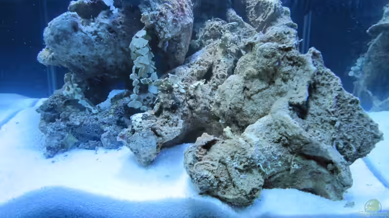 Mal gucken was alles rauskommt :-) von Haens84 (20)