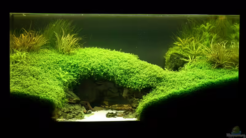 mal in schwarz von Microsash (5)