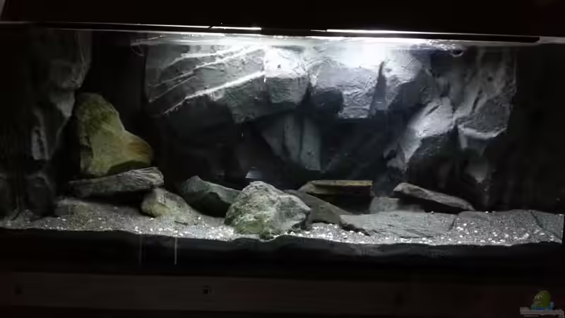 Mal mit mehr Licht von Julien Preuß (2)