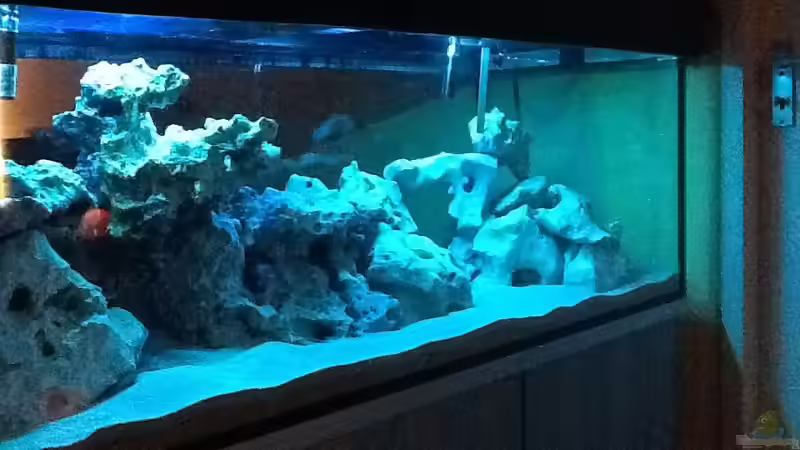 Mal mit Mondlicht in der ´Bauphase´ von DDT (2)