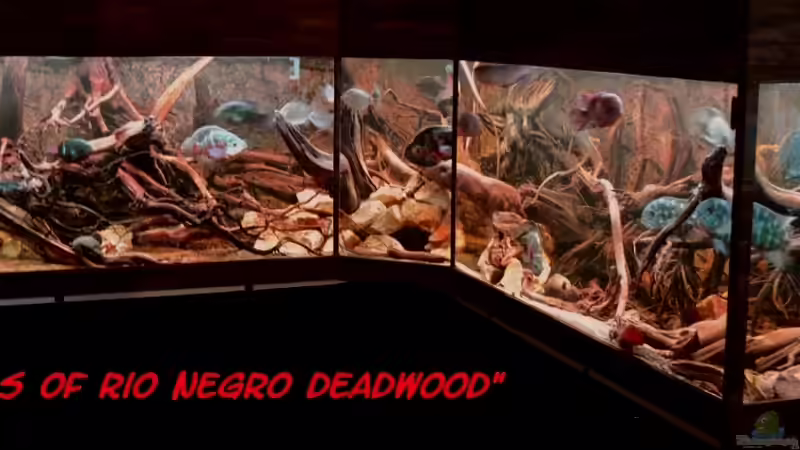 Mal ne neue Gesamtansicht - 28.10.2012 von GGuardiaNN (23)