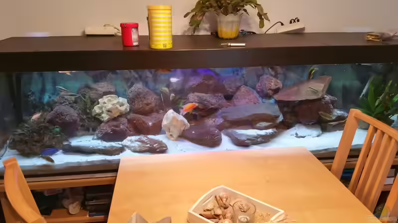 Mal noch ein anderes Beispiel von Mia Sun (2)