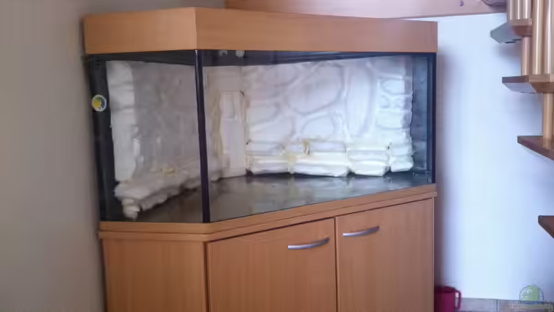 mal schauen ob sie rein passt!  von Ecky (4)