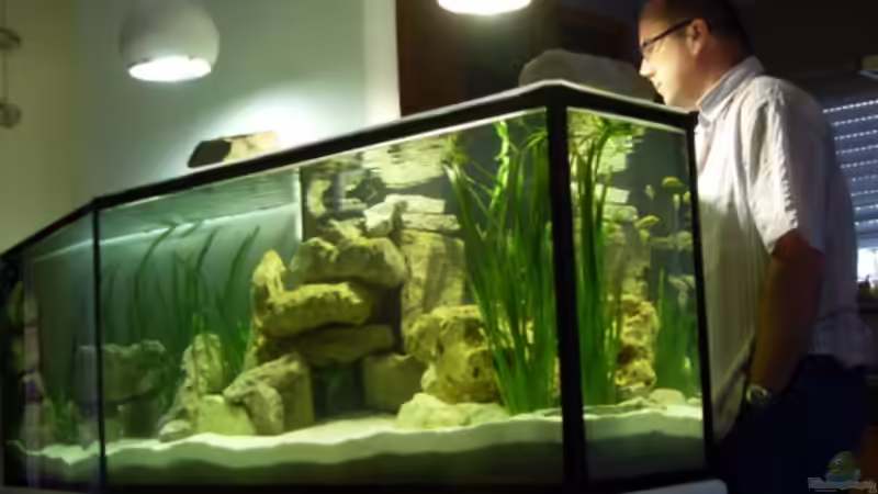 mal schauen was so läuft von Mats (17)