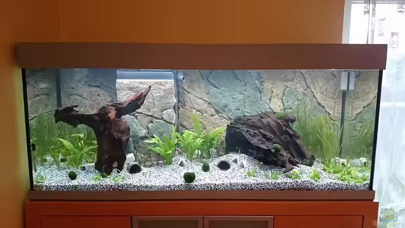 Mal sehen was daraus wird ??? von Der Küstenjunge (11)