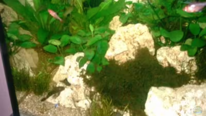 Mal unten Links von West01 (4)