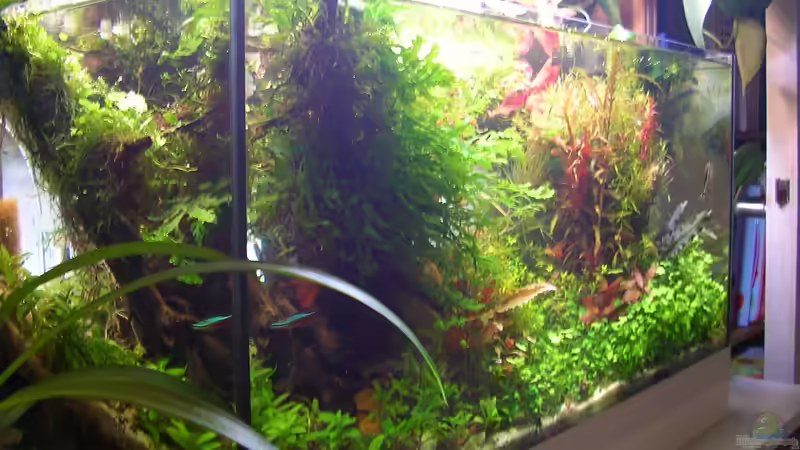 Mal von der anderen Seite im September von Fredo Fuss (4)