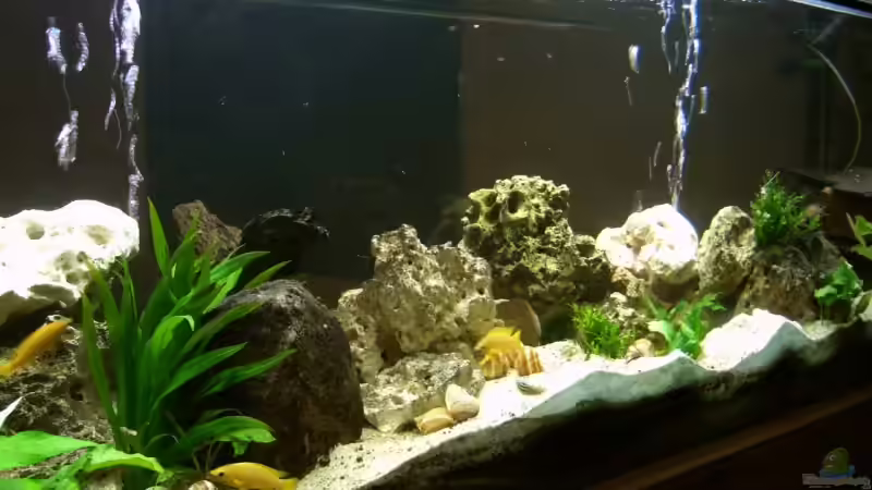 Mal von der anderen Seite von Sandra Ringle und Jörg Buß (2)