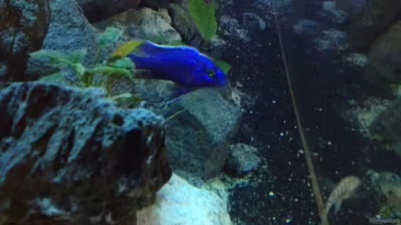 Mal von der Seite mit Tageslicht von der Steirer (127)