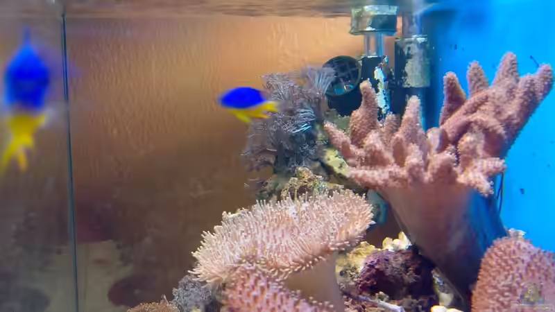 Mal von der seite von Andreas Fleischer (10)