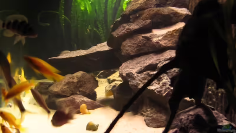 Mal von der Seite! von Haens84 (8)