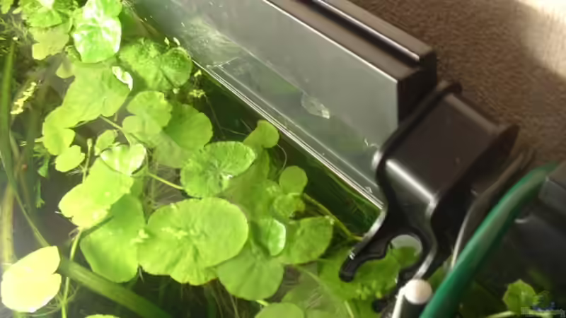 mal von oben.... von Herzilein (4)