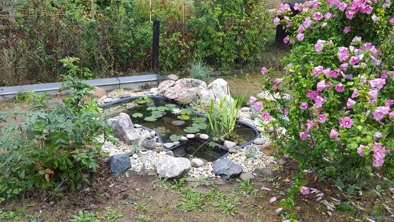 Mal was anderes: Mein kleiner gemütlicher Gartenteich  von painless Tdb-music (12)