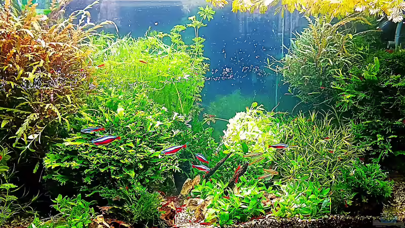 mal wieder einen weg angelegt. von odin 68 (28)