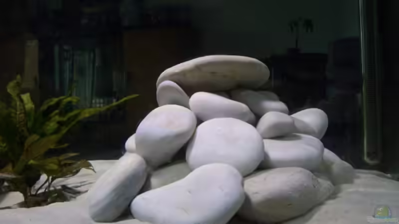 Malaga Kalkgestein 25kg von LaikMe (9)