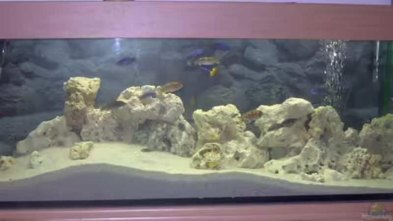 Malavi von Martin Neumann (1)