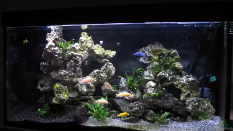 Malawi 120 * 50 * 60