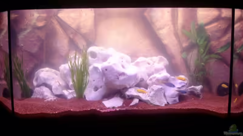 Malawi 200 von Operator (1)