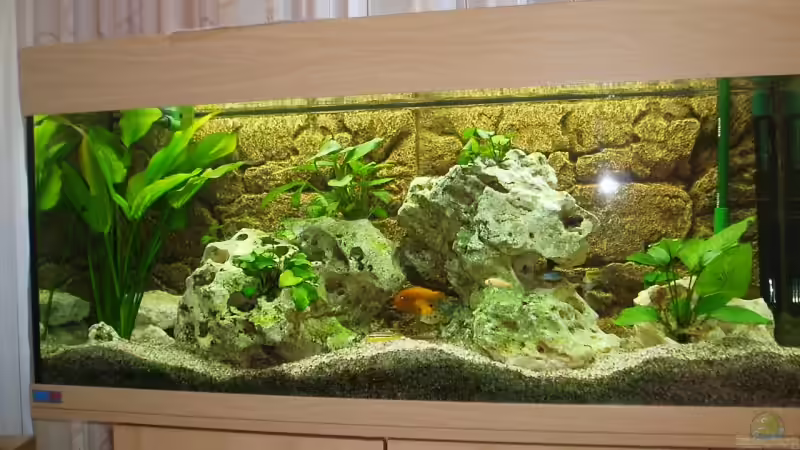 malawi 240 von Dominik Strolz (1)