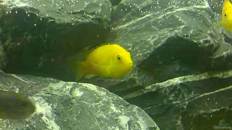 Malawi 3 von Volker Nagels (3)